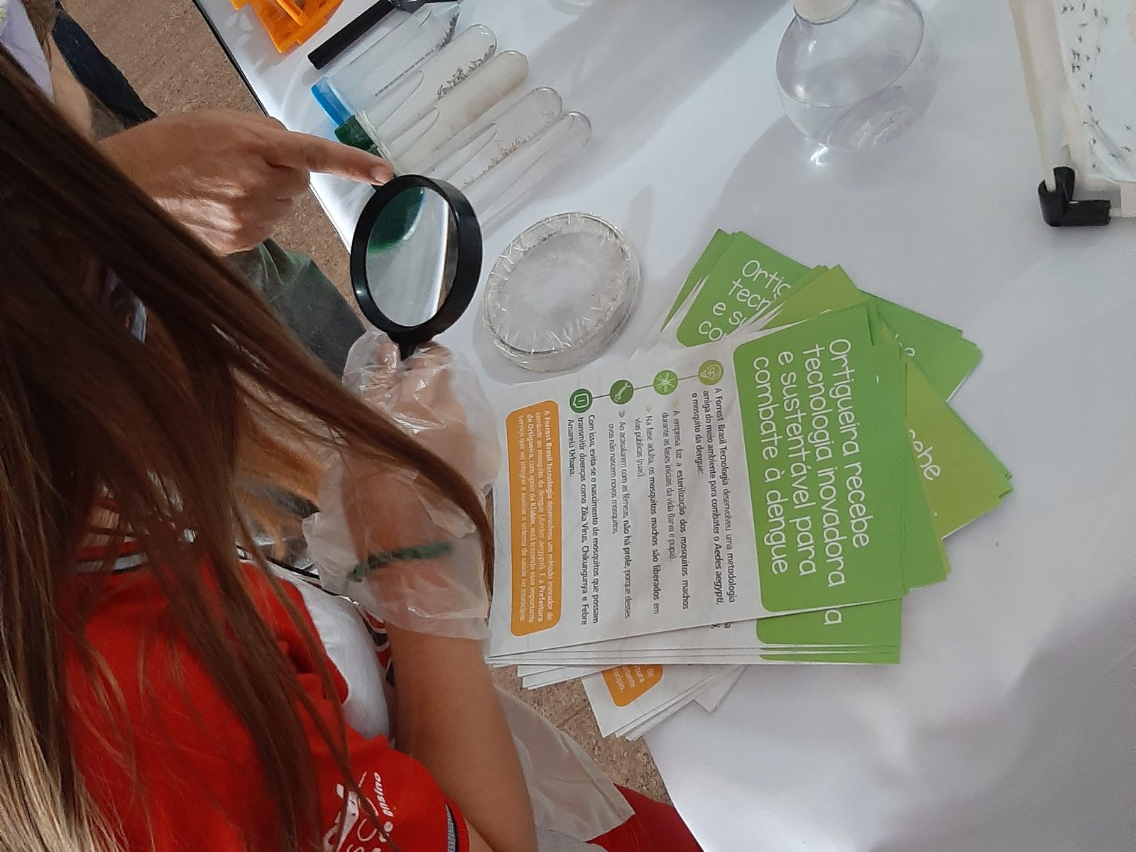 Bancada com folhetos do programa, lupa,
  placas de Petri e material de campo